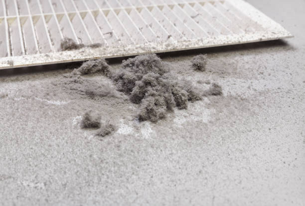 Best Ductwork Cleaning Services  in Angola, NY